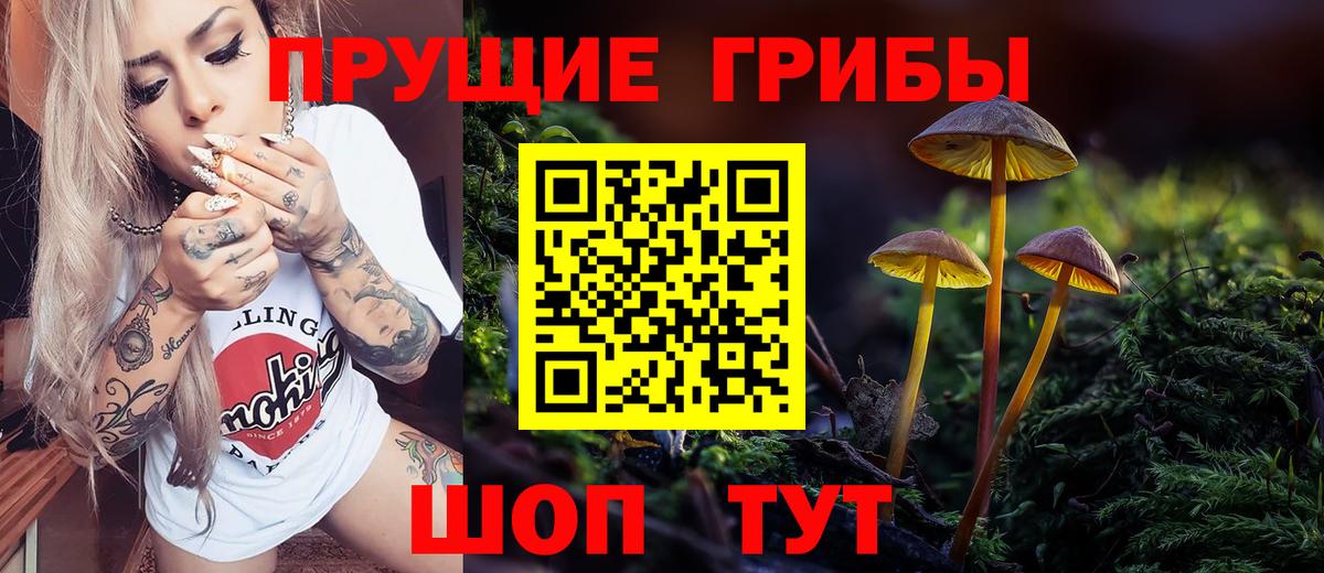 Галлюциногенные грибы Psilocybe Севастополь